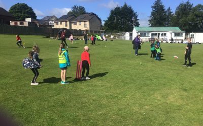 Y1 Cricket Festival